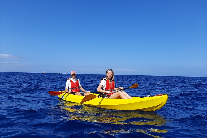 Kayak Safari With Dolphin and Turtle Watching in Guaza - Included in the Experience