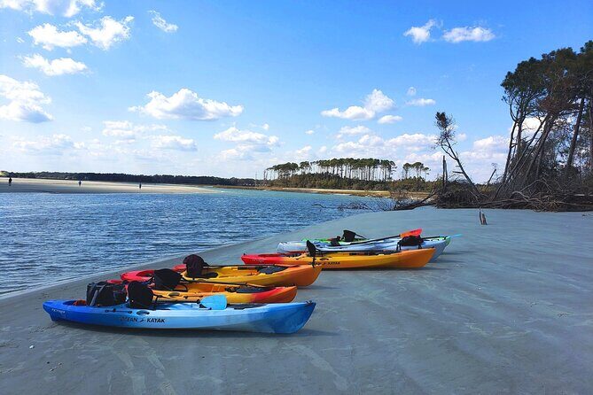 Kayak Salt Marsh Maze Tour - Introduction