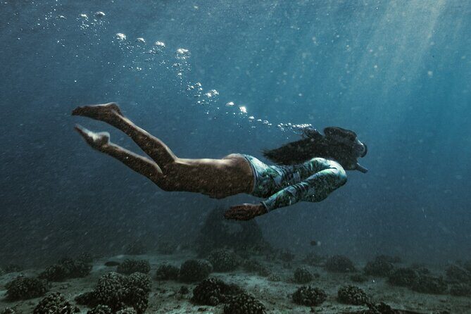 Kayak, Snorkel, and Surf with Turtles in Honolulu - The Sum Up