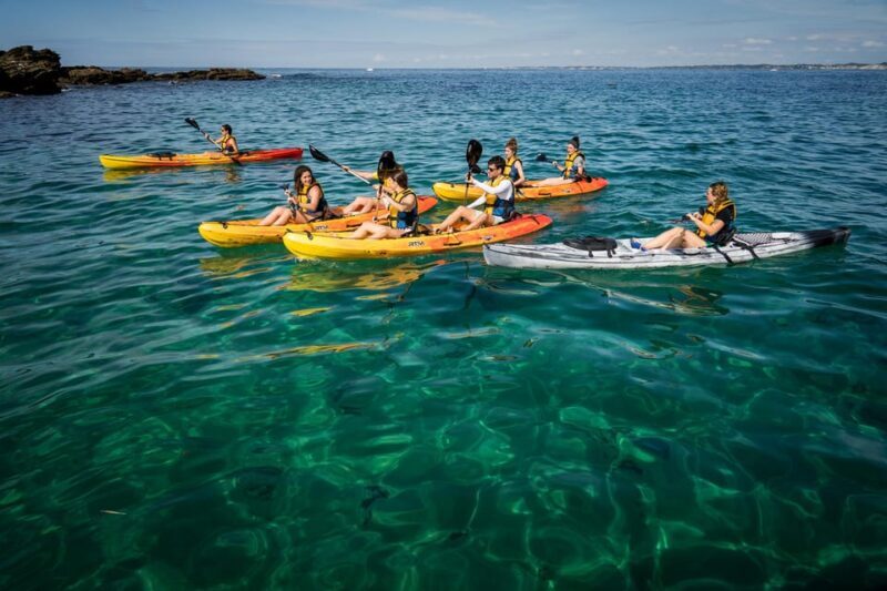 KAYAK & SNORKEL in Hondarribia - Key Points  