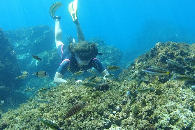 Kayak & Snorkel Tour in Cerro Gordo Natural Park, La Herradura - Directions and Meeting Point