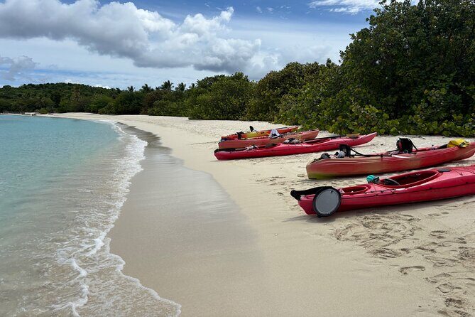 Kayak & Snorkel with Sea Turtles, National Park, St. John - FAQs