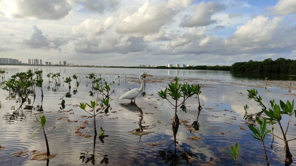 Kayak Sunset in the Nichupte Lagoon by Wayak - Key Points