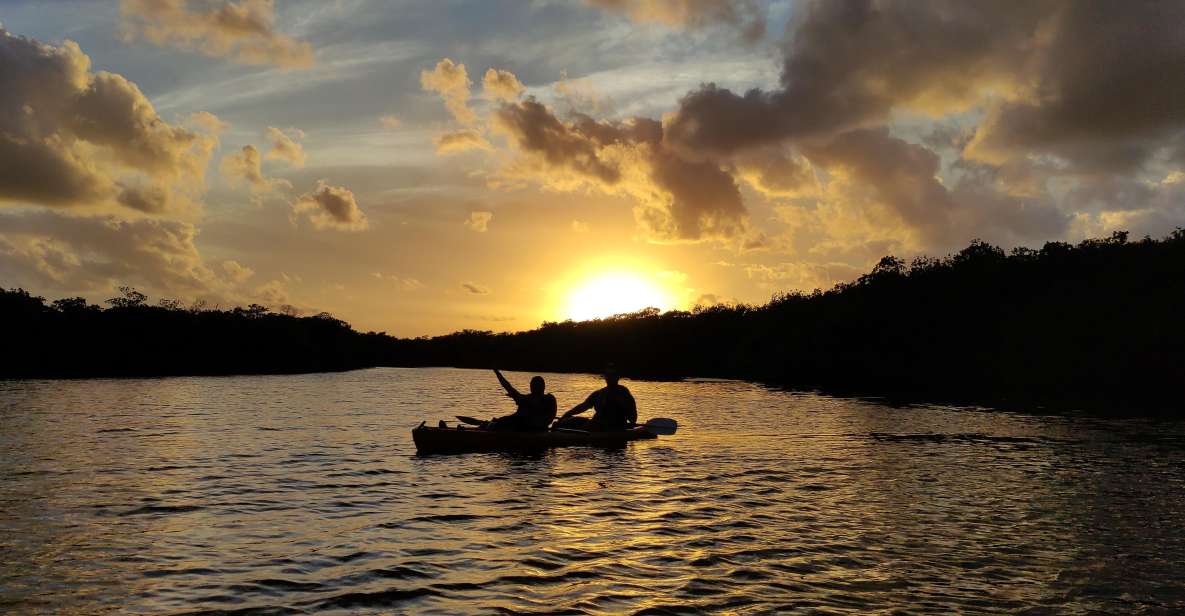 Kayak Sunset in the Nichupte Lagoon by Wayak - Diverse Flora and Fauna
