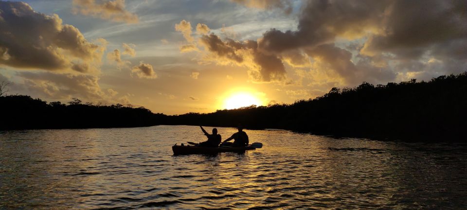 Kayak Sunset in the Nichupte Lagoon by Wayak - Guided Tour With Photos