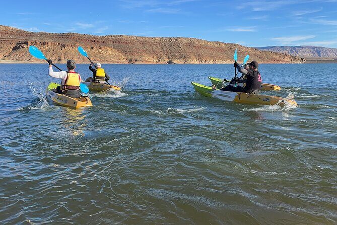 Kayak/SUP Tour: Birds, Beavers, Turtles, maybe even Cliff Jumping - FAQ: Common Practical Questions