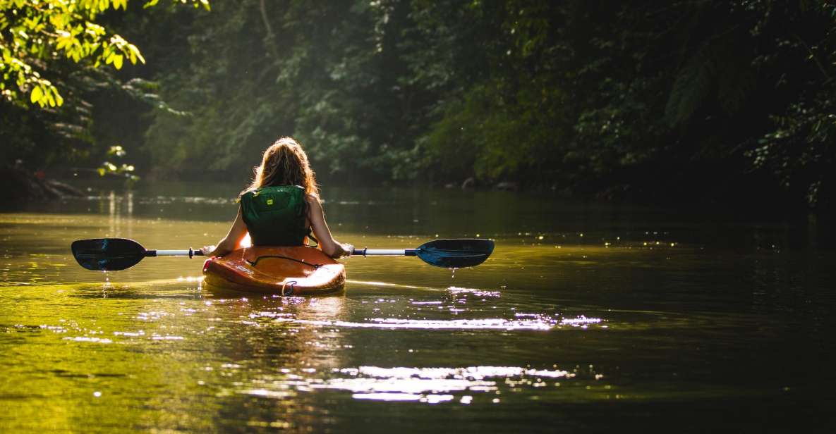 KAYAK - Tagus River - PRIVATE GUIDE - Pricing and Duration