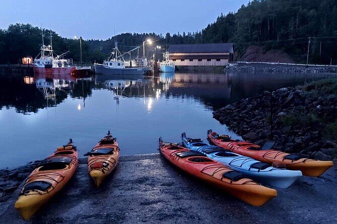 Kayak the Bay of Fundy Sea Caves - FAQs