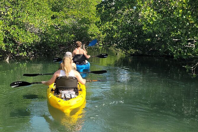 Kayak through Mangrove Forests in the Florida Keys - The Itinerary in Detail