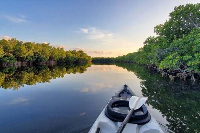 Kayak through Mangrove Forests in the Florida Keys - Who Will Enjoy This Tour?