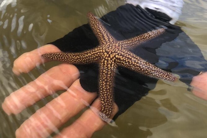 Kayak Tour Adventure Marco Island and Naples Florida - Meeting and Pickup