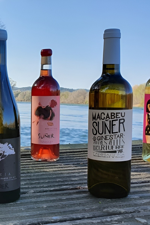 Kayak Tour and Wine Tasting at the Ebro River - Kayak Tour Details