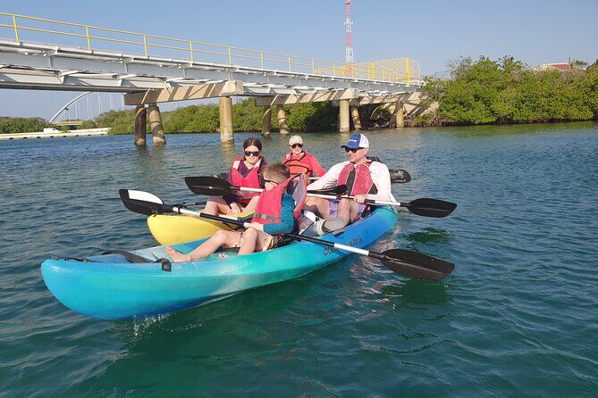 Kayak Tour at Mangel Halto and Spanish Lagoon - Who Will Love This Tour?