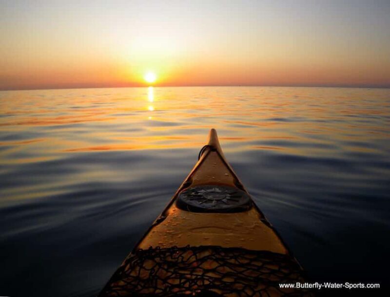 Kayak Tour from Tuepi - What You Should Know Before Booking