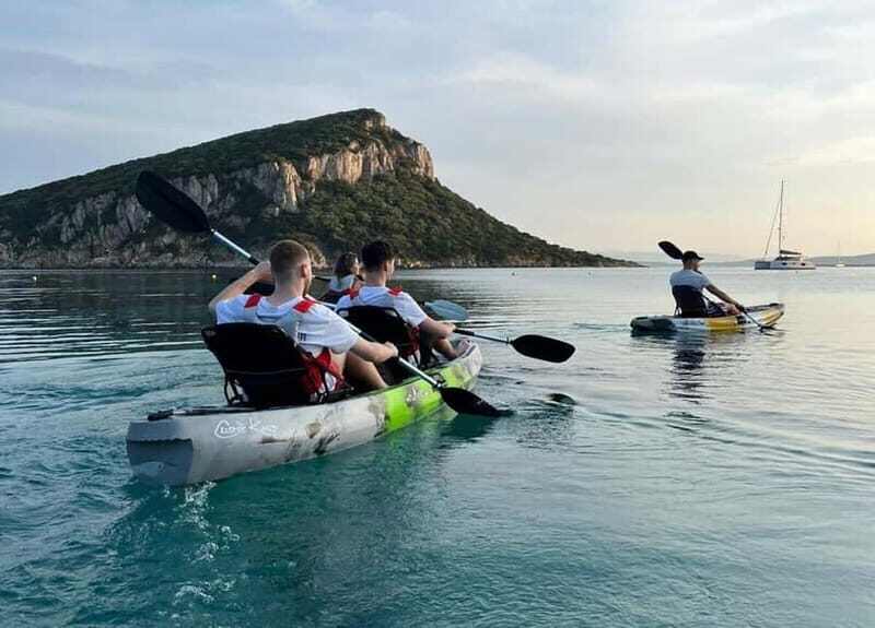 Kayak tour in Cala Moresca - Aperitif and Dolphin watching - Key Points