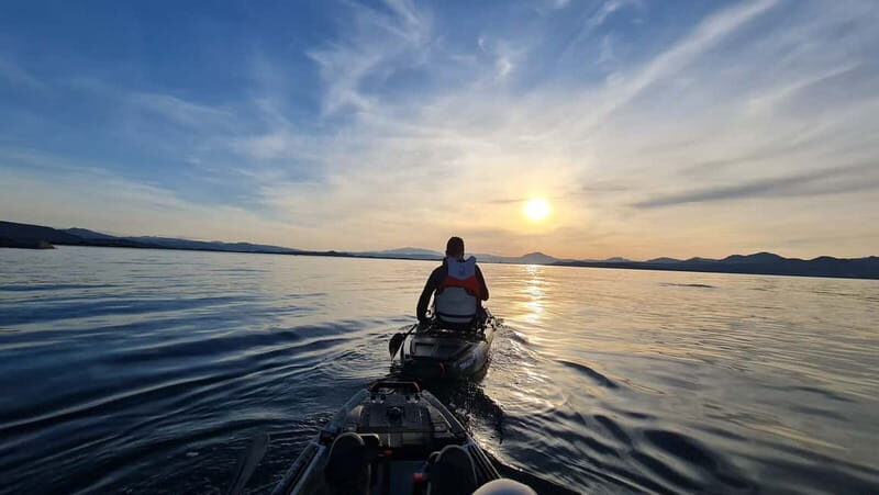 Kayak tour in Cala Moresca - Aperitif and Dolphin watching - Final Thoughts
