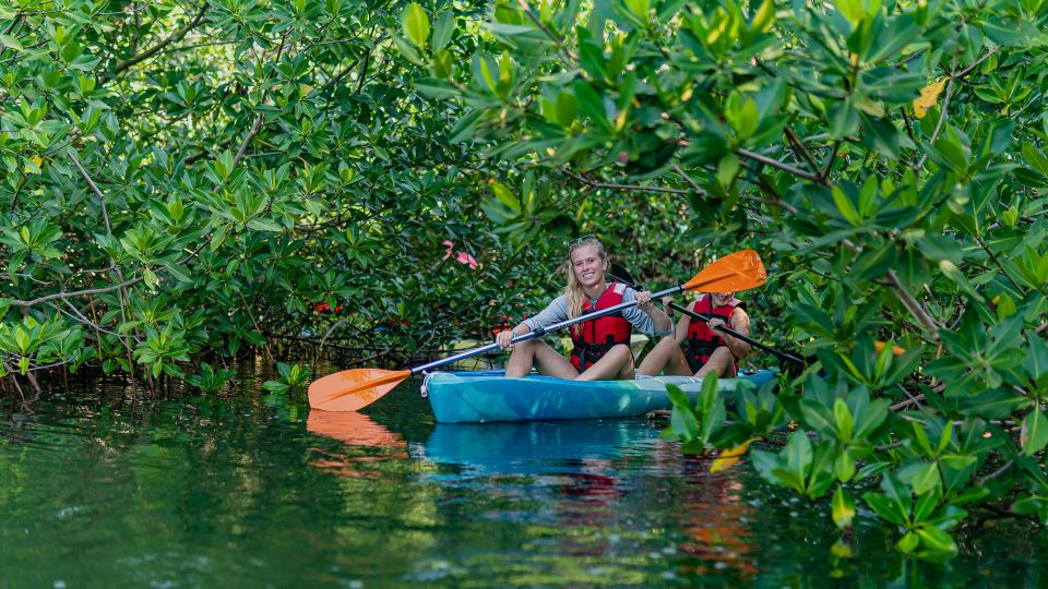Kayak Tour in Cancun With Photos Included - Key Points