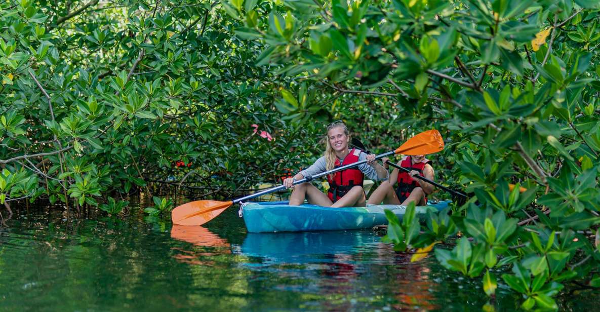 Kayak Tour in Cancun With Photos Included - Location and Meeting Point