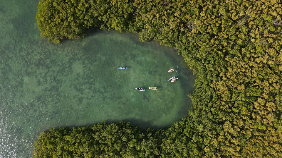 Kayak Tour in Cancun With Photos Included - Not Included in the Tour