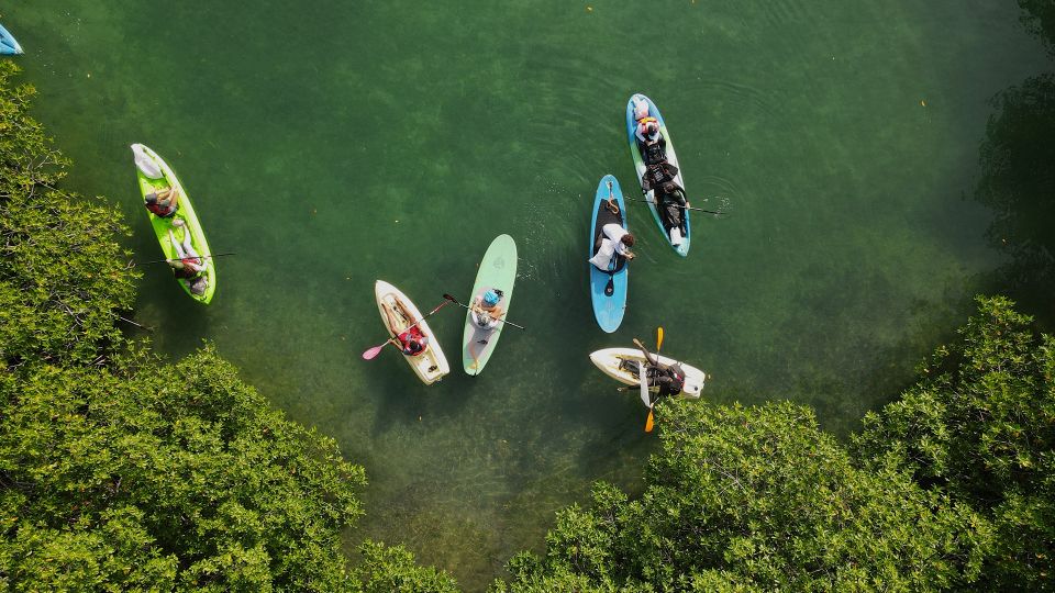 Kayak Tour in Cancun With Photos Included - Preparing for the Adventure
