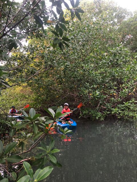 Kayak Tour in Cancun With Photos Included - Frequently Asked Questions