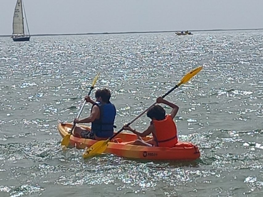 Kayak Tour in Ria Formosa - Olhão - Pricing and Duration
