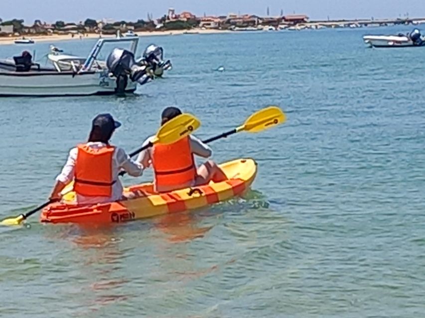 Kayak Tour in Ria Formosa - Olhão - Booking Your Experience