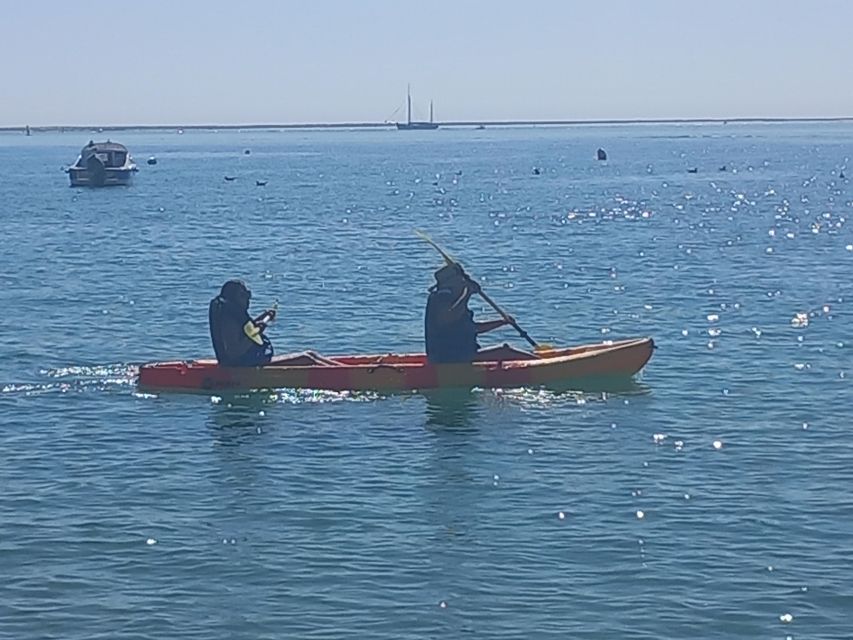 Kayak Tour in Ria Formosa - Olhão - Tour Highlights