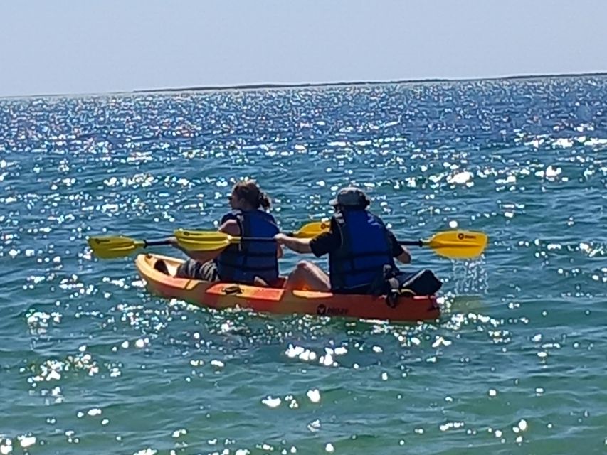 Kayak Tour in Ria Formosa - Olhão - Customer Reviews