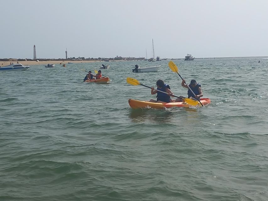 Kayak Tour in Ria Formosa - Olhão - Frequently Asked Questions