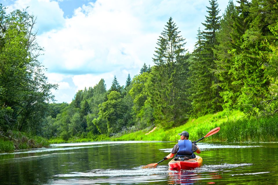 Kayak Tour of 2 Hours and 30 Minutes in Castel Gandolfo - Participant Guidelines