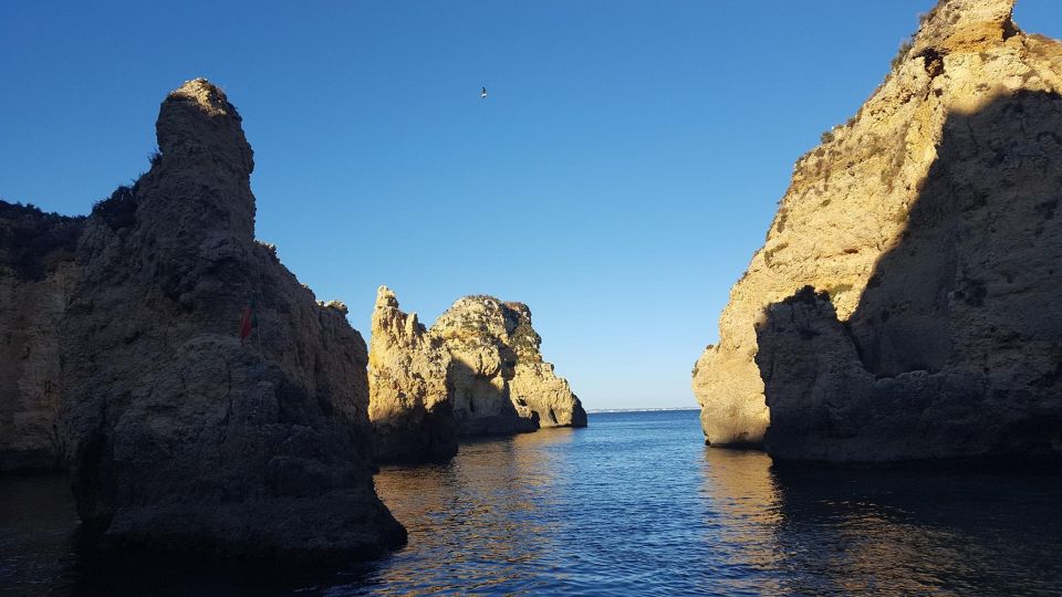Kayak Tour - Inclusions