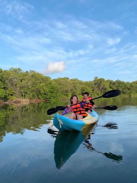 Kayak Tour Through Holbox Mangroves - Key Points