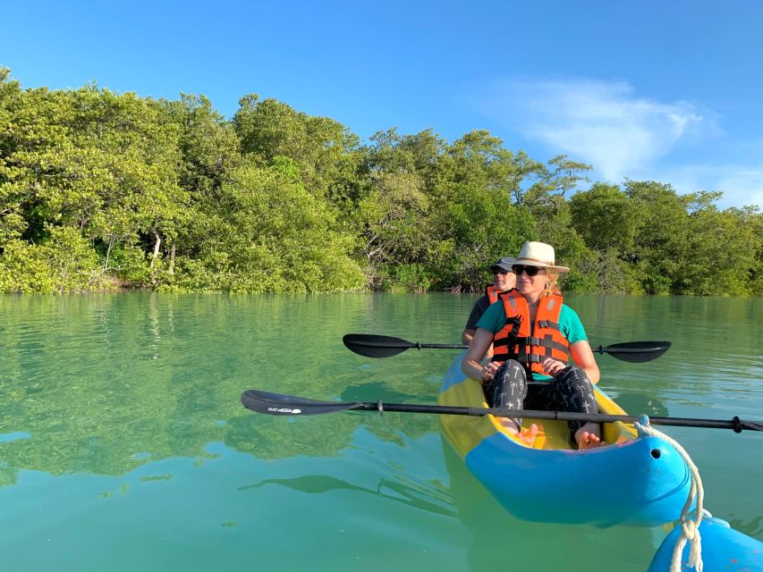 Kayak Tour Through Holbox Mangroves - Pickup and Drop-off