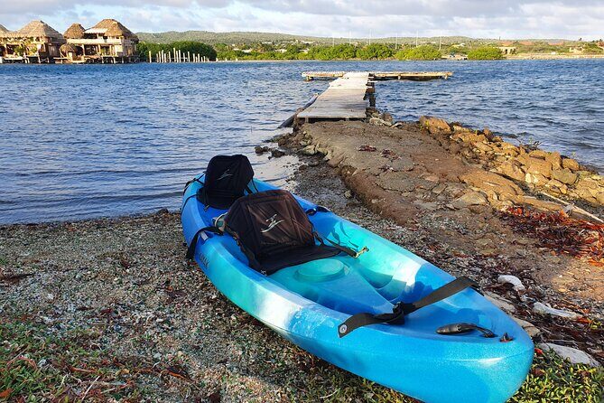 Kayak Tour to Seaglass Island - Authentic Feedback from Participants