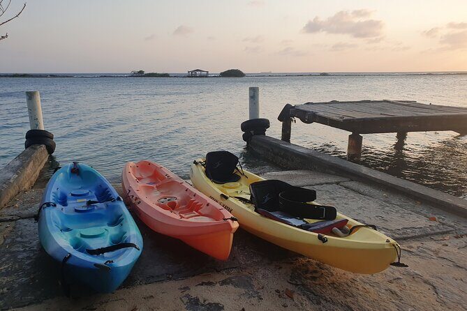 Kayak Tour to Seaglass Island - Frequently Asked Questions (FAQs)