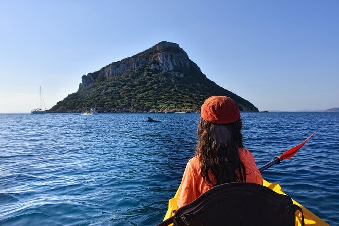 Kayak tour with aperitif and dolphins - Introduction: Why This Kayak Tour in Olbia is Worth Considering