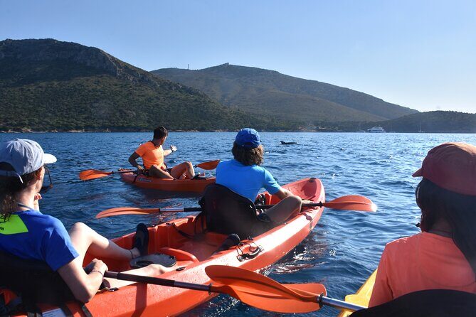 Kayak tour with aperitif and dolphins - Key Points