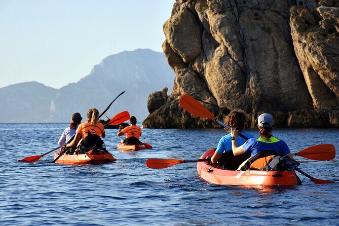 Kayak tour with aperitif and dolphins - What Makes This Tour a Great Value