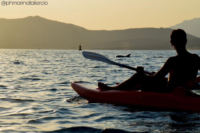 Kayak Tour With Aperitif and Dolphins - Kayaking Lesson