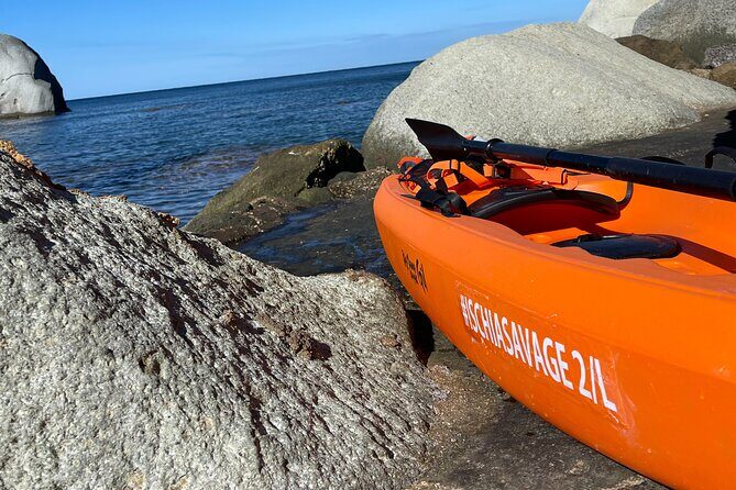 Kayak Tour with Local Guide - Why This Tour Is a Great Choice