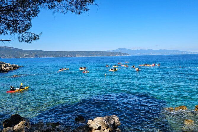 Kayak tour with snorkeling and marine biologist - Practical Tips for Participants