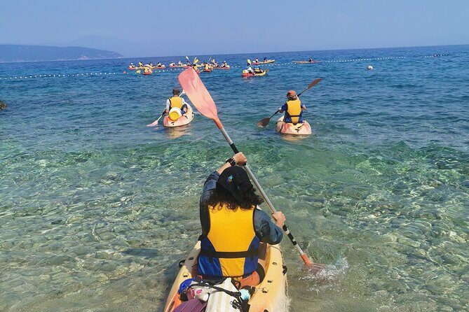 Kayak tour with snorkeling and marine biologist - The Sum Up: Is This Tour Worth Your Time?