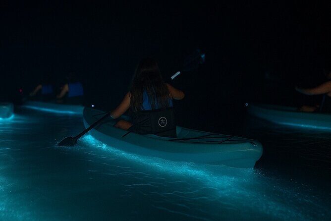 Kayak Tours and Rentals. Dolphins, Manatees, and Bioluminescence! - Exploring the Waterways with Brady Yaks: Kayak Tours, Dolphins, Manatees, and Bioluminescence