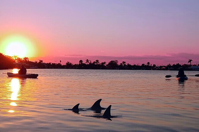Kayak Tours and Rentals. Dolphins, Manatees, and Bioluminescence! - The Experience’s Suitability