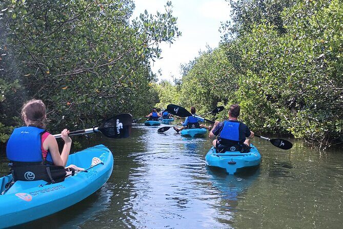 Kayak Tours and Rentals. Dolphins, Manatees, and Bioluminescence! - Final thoughts