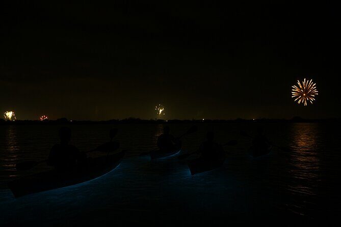 Kayak Tours and Rentals. Dolphins, Manatees, and Bioluminescence! - FAQs