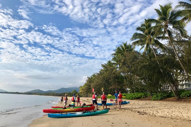 Kayak Turtle Tour From Palm Cove - Wildlife Encounters
