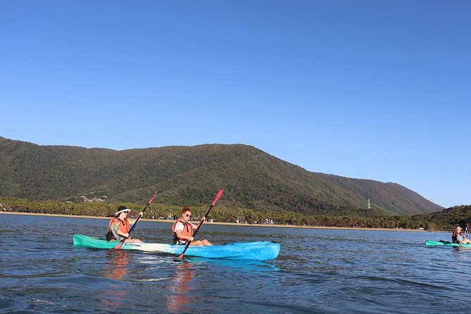 Kayak Turtle Tour From Palm Cove - Accessibility and Requirements
