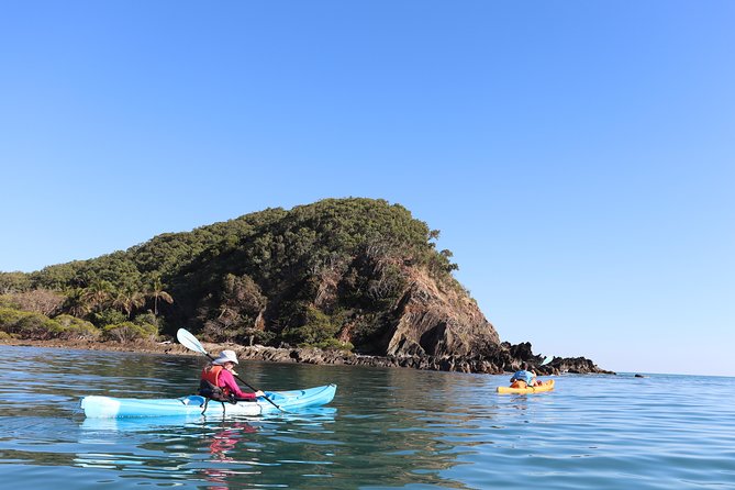 Kayak Turtle Tour From Palm Cove - Check-in Information